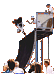 Halfpipe aus Collage.gif (5580 Byte)